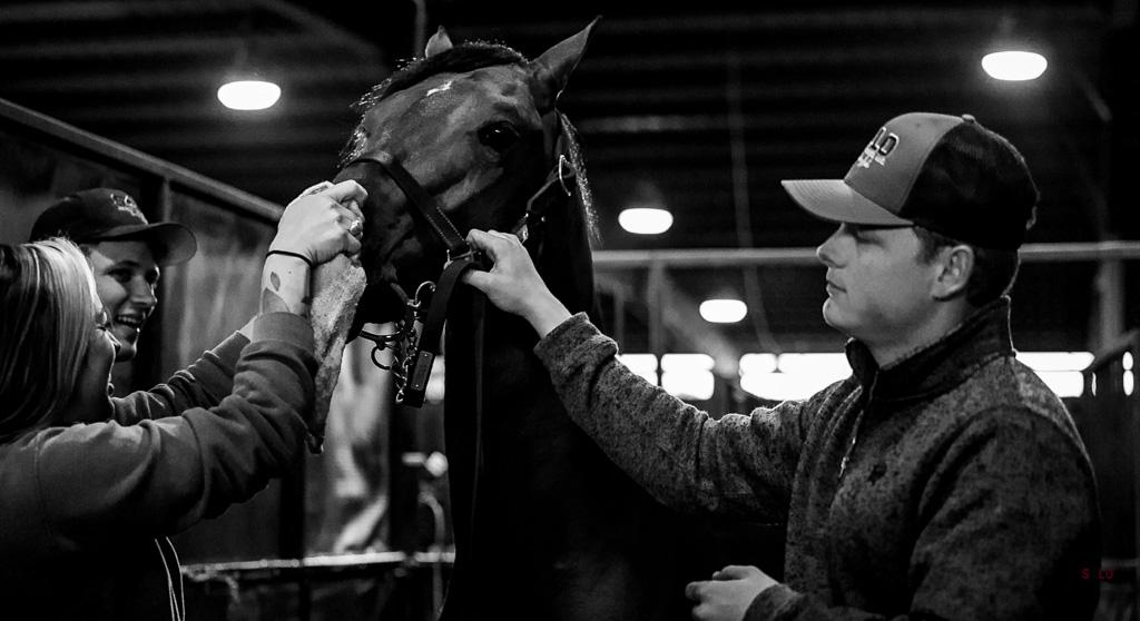 Solo Select Racing sale fitting