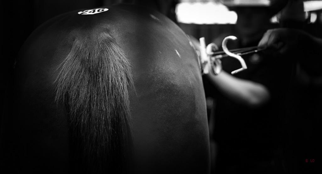 Solo Select Racing sale fitting