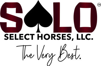 Solo Select Horses, LLC — The Very Best