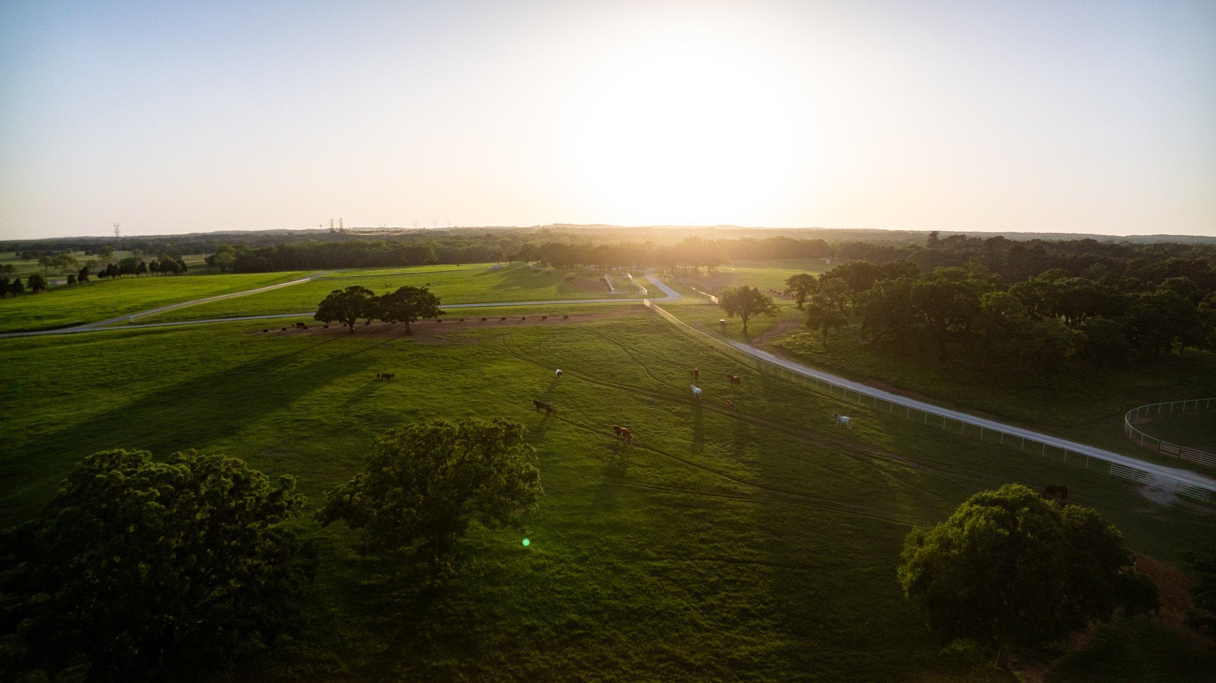 Aerial of the Solo Select pastures at sunset, broodmares grazing across the fields in North Texas