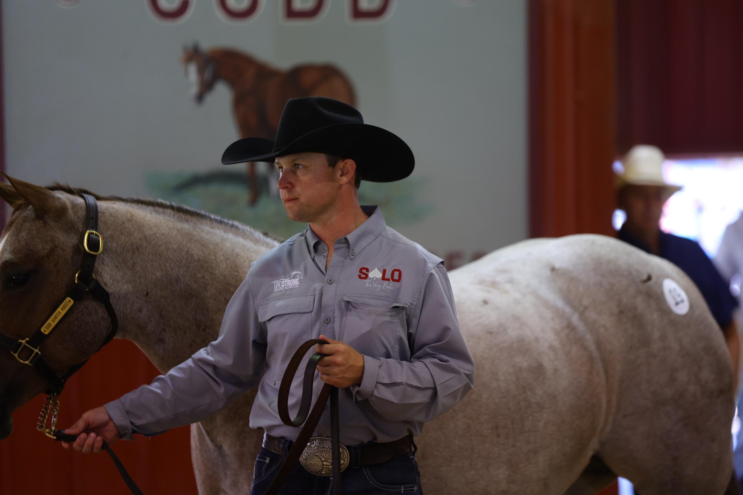 A Solo Select sale yearling standing with a handler during preparation