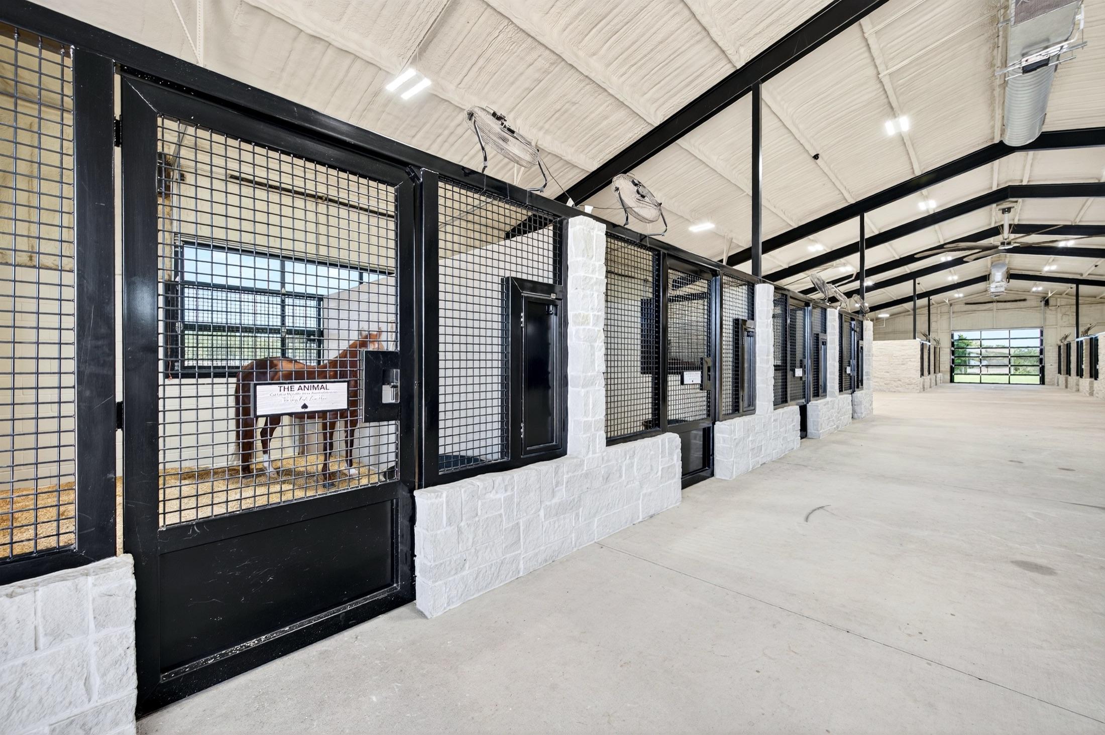 A horse stands in its stall along the barn aisle