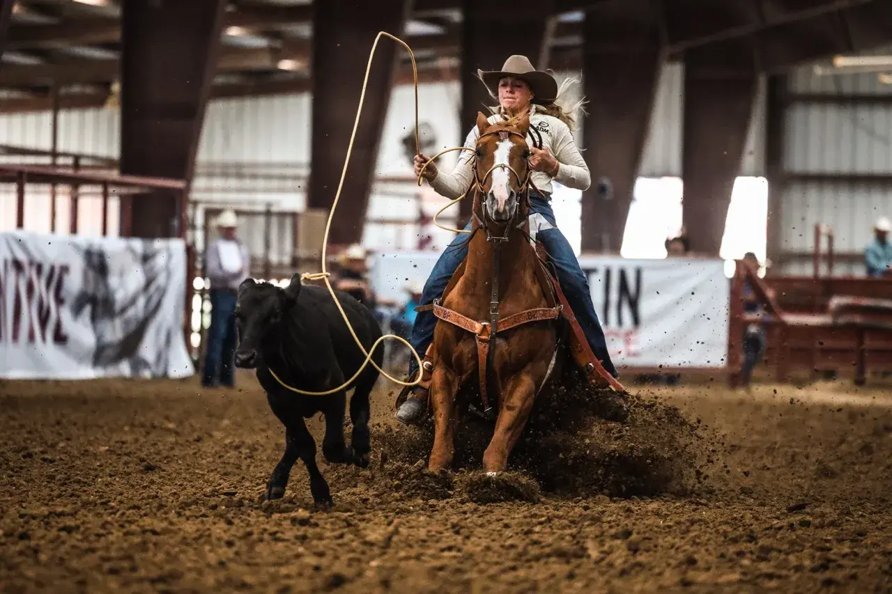 A breakaway roper on a sorrel horse ropes a calf, dirt kicking up, at the Solo Rope Horse Futurity.