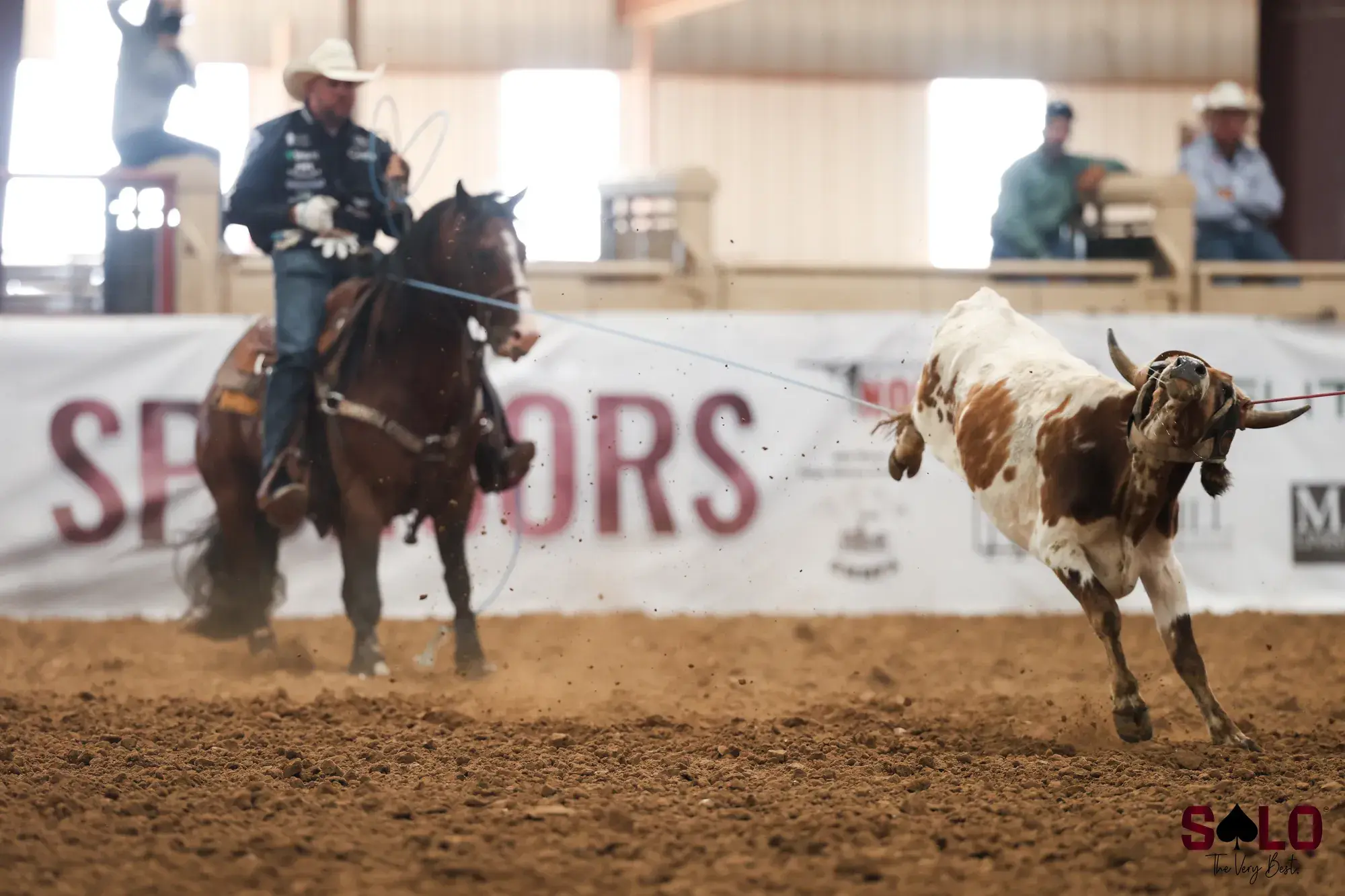A header on a bay rope horse catches a steer by the horns, dirt flying, during a Solo Rope Horse Futurity run in a covered arena lined with sponsor banners.