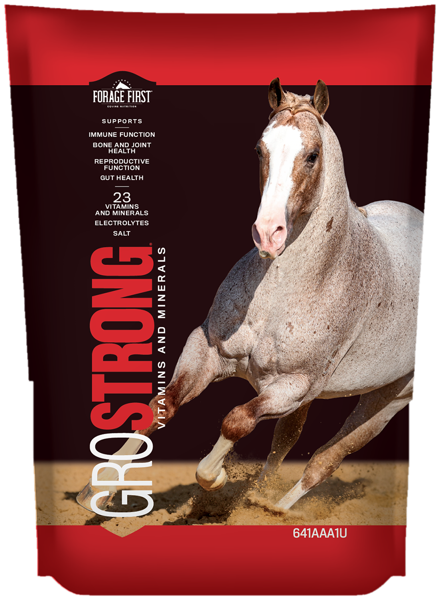 GROSTRONG Vitamins and Minerals granules bag with Solo Select stallion Metallic Cattack on the front panel