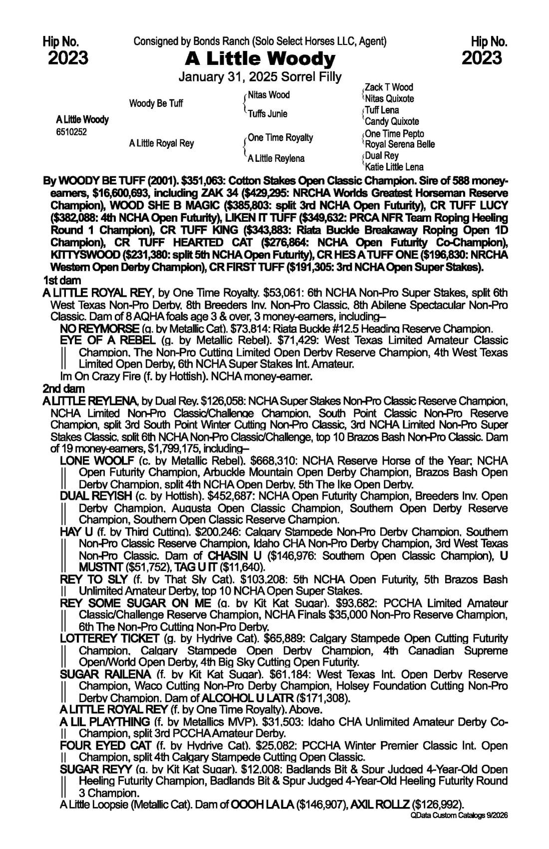 A Little Woody — 2026 NRCHA Snaffle Bit Futurity Sale catalog black type (stakes and pedigree record)