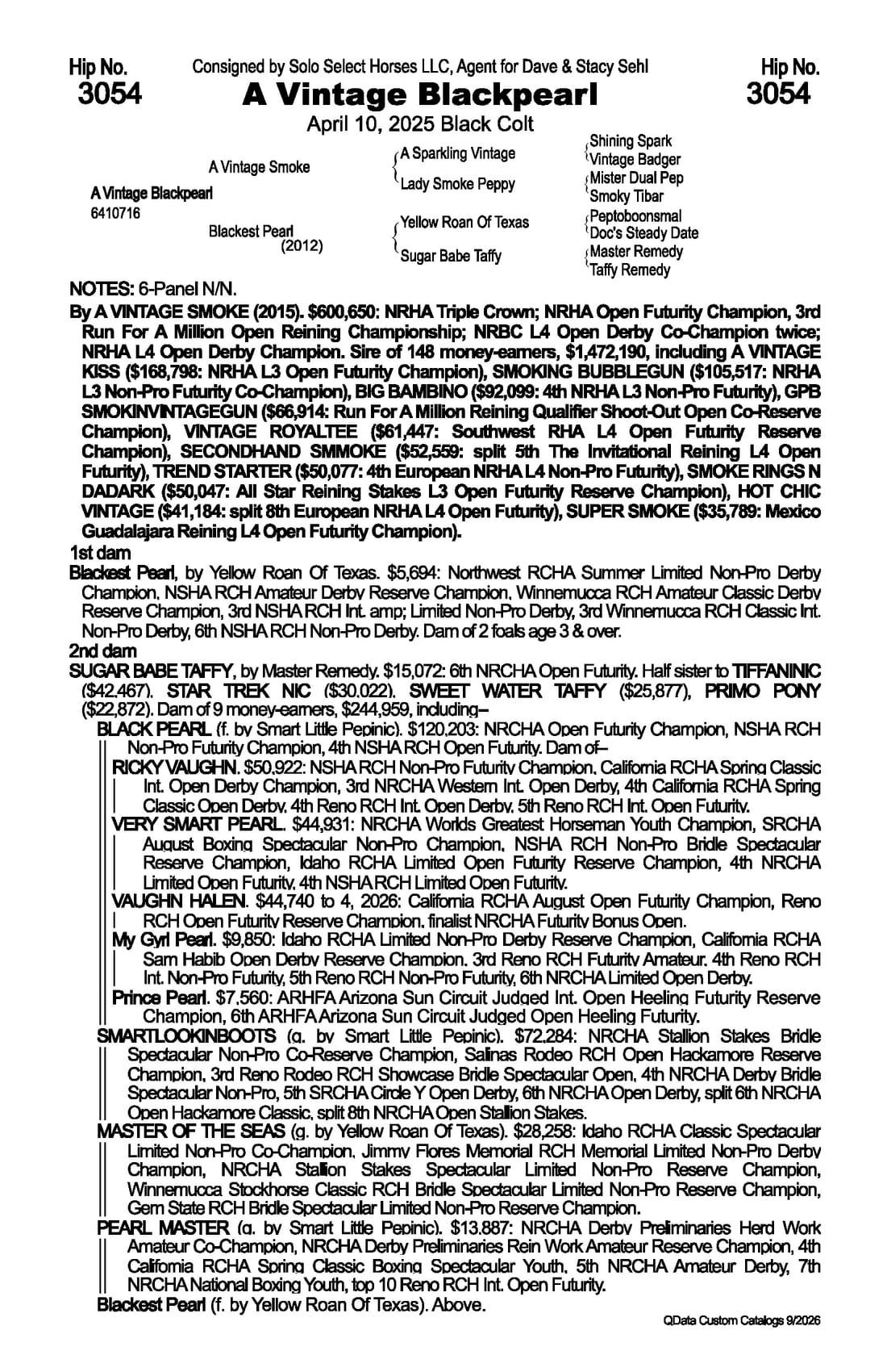 A Vintage Blackpearl — 2026 NRCHA Snaffle Bit Futurity Sale catalog black type (stakes and pedigree record)