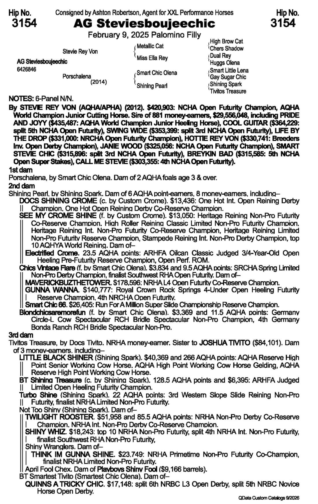 AG Steviesboujeechic — 2026 NRCHA Snaffle Bit Futurity Sale catalog black type (stakes and pedigree record)