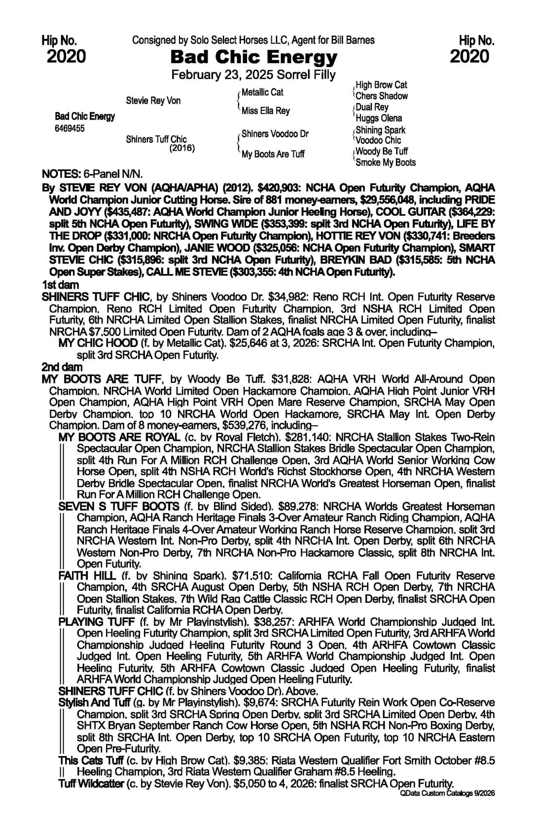 Bad Chic Energy — 2026 NRCHA Snaffle Bit Futurity Sale catalog black type (stakes and pedigree record)