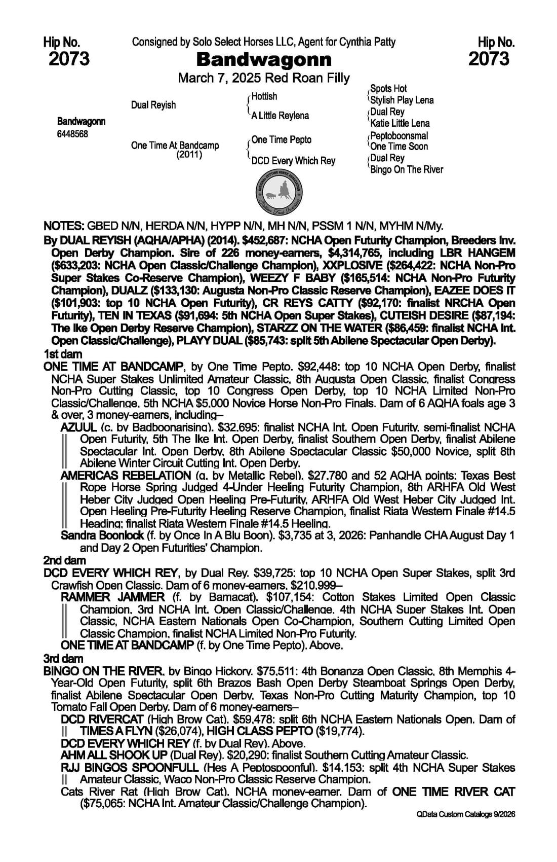 Bandwagonn — 2026 NRCHA Snaffle Bit Futurity Sale catalog black type (stakes and pedigree record)
