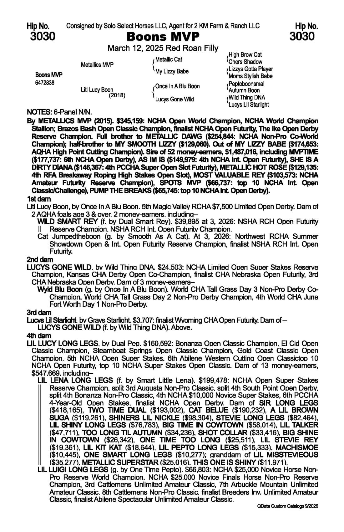 Boons MVP — 2026 NRCHA Snaffle Bit Futurity Sale catalog black type (stakes and pedigree record)