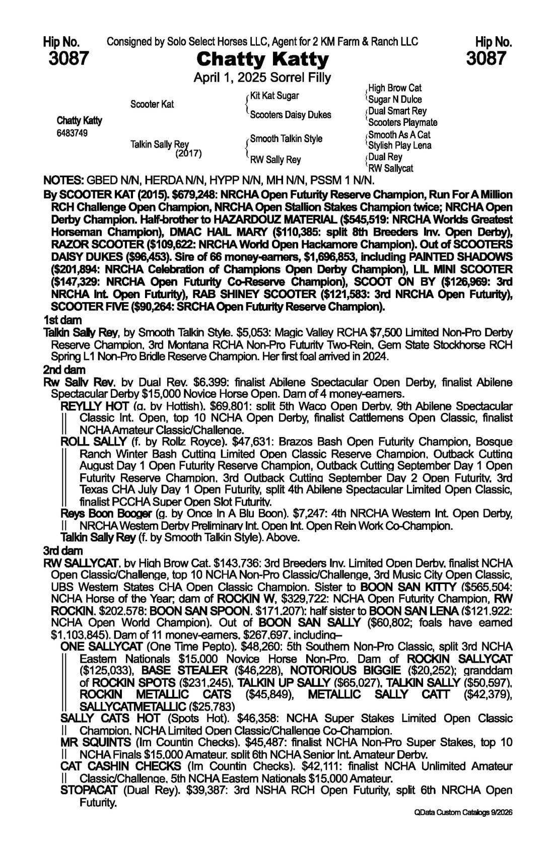 Chatty Katty — 2026 NRCHA Snaffle Bit Futurity Sale catalog black type (stakes and pedigree record)