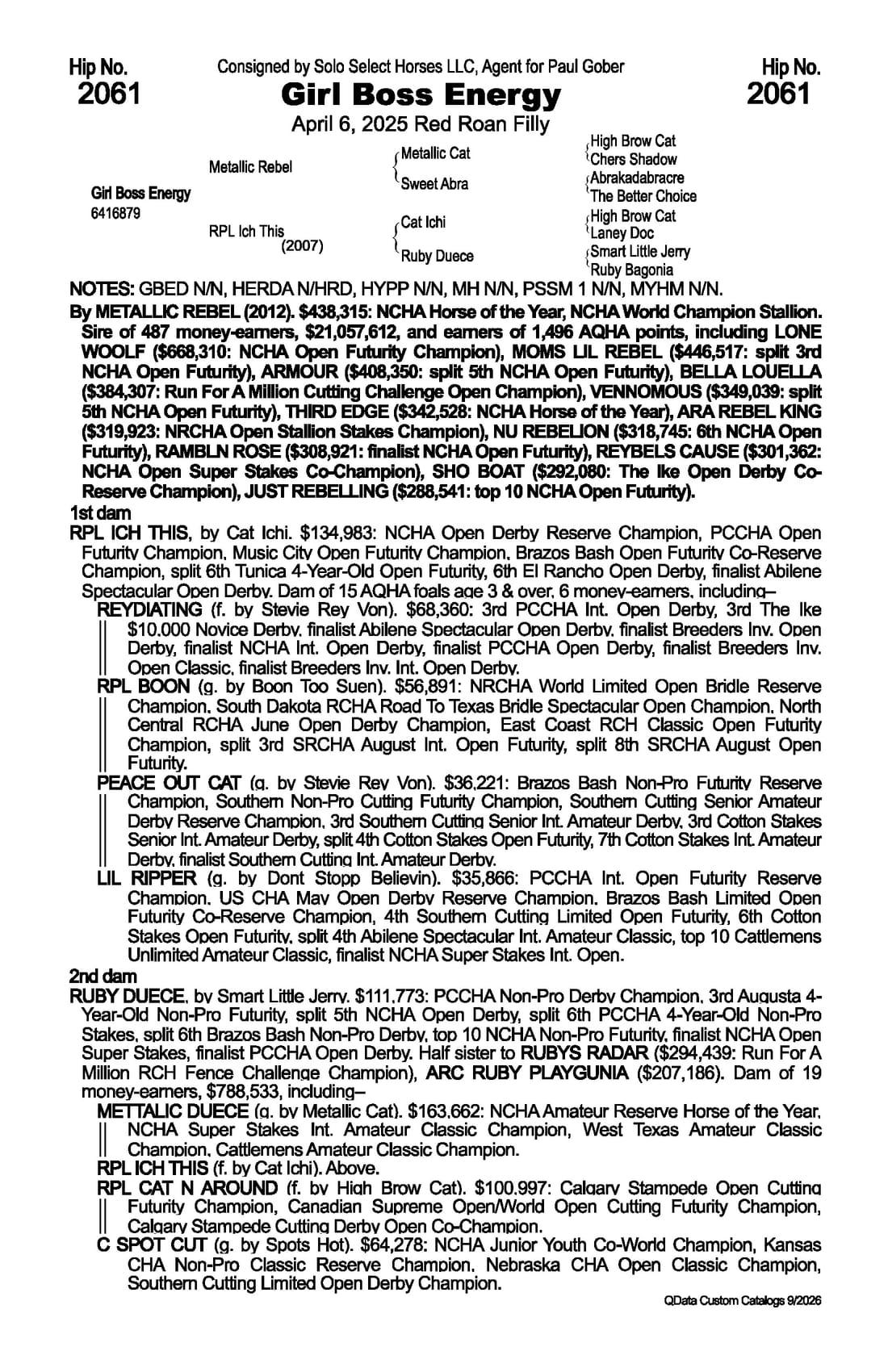 Girl Boss Energy — 2026 NRCHA Snaffle Bit Futurity Sale catalog black type (stakes and pedigree record)