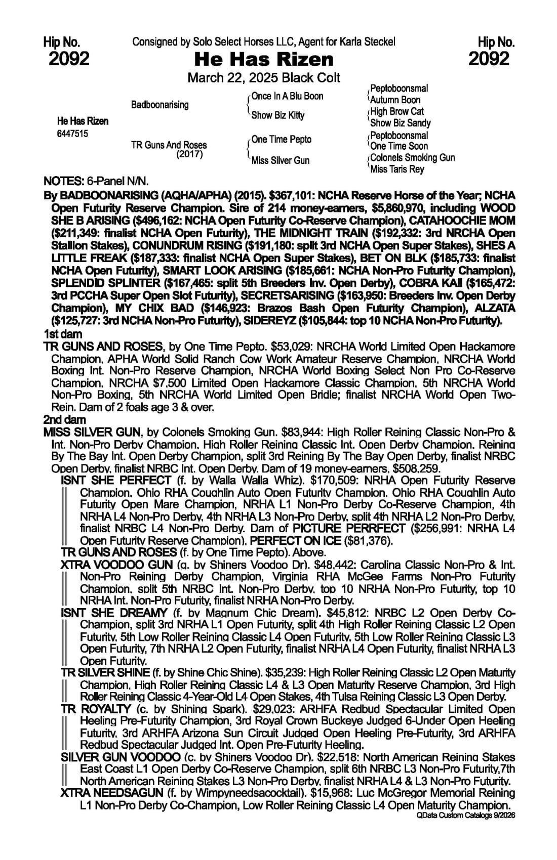 He Has Rizen — 2026 NRCHA Snaffle Bit Futurity Sale catalog black type (stakes and pedigree record)