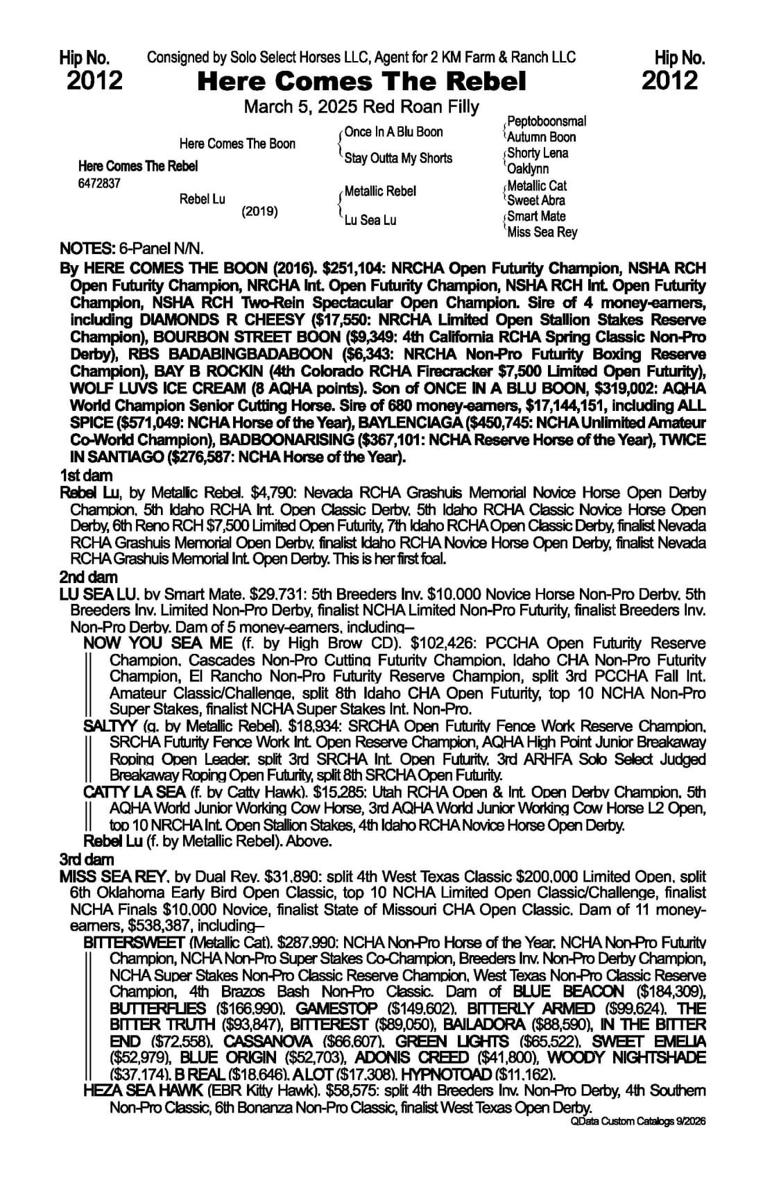 Here Comes The Rebel — 2026 NRCHA Snaffle Bit Futurity Sale catalog black type (stakes and pedigree record)