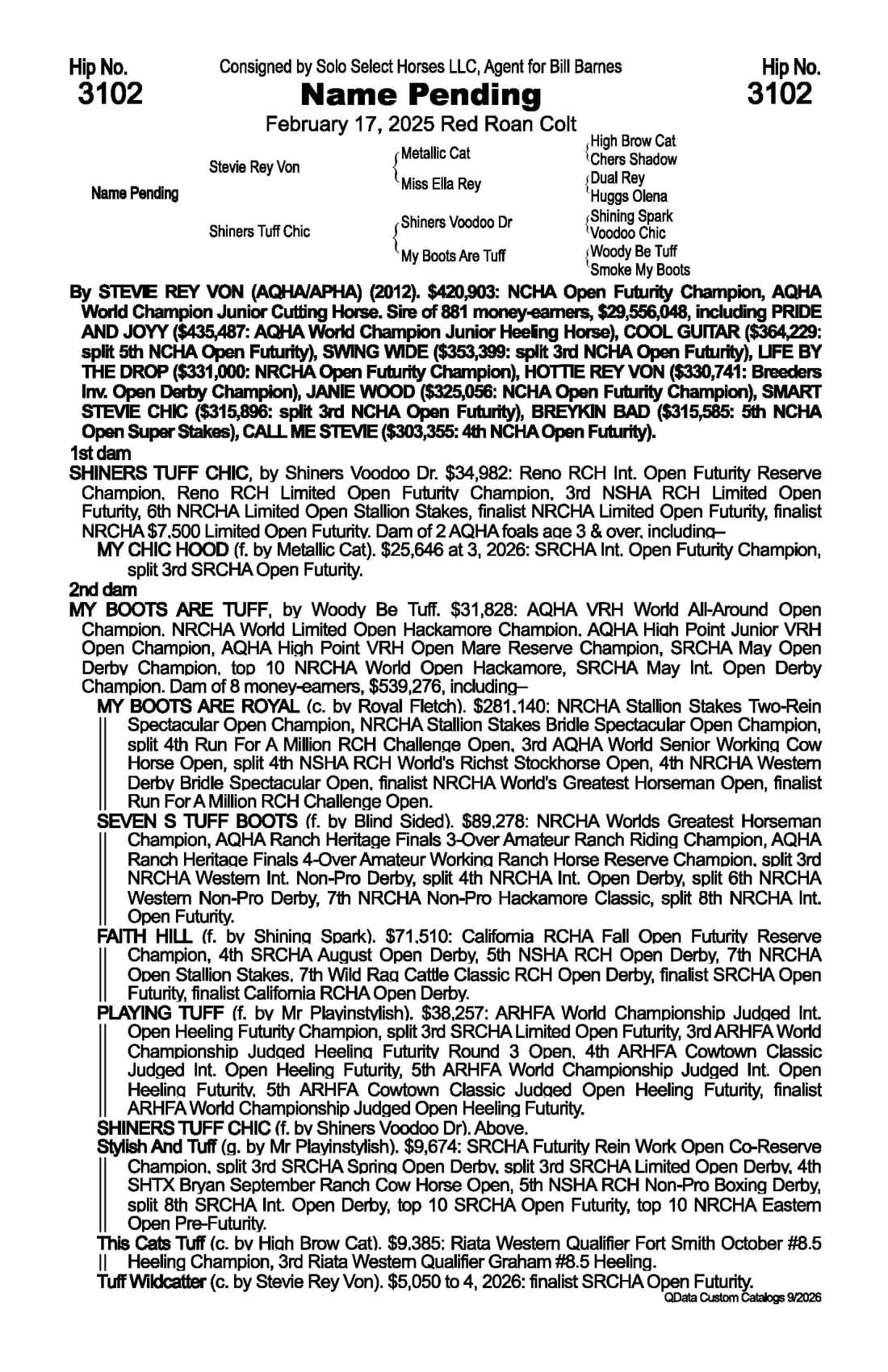 Jus My Type — 2026 NRCHA Snaffle Bit Futurity Sale catalog black type (stakes and pedigree record)
