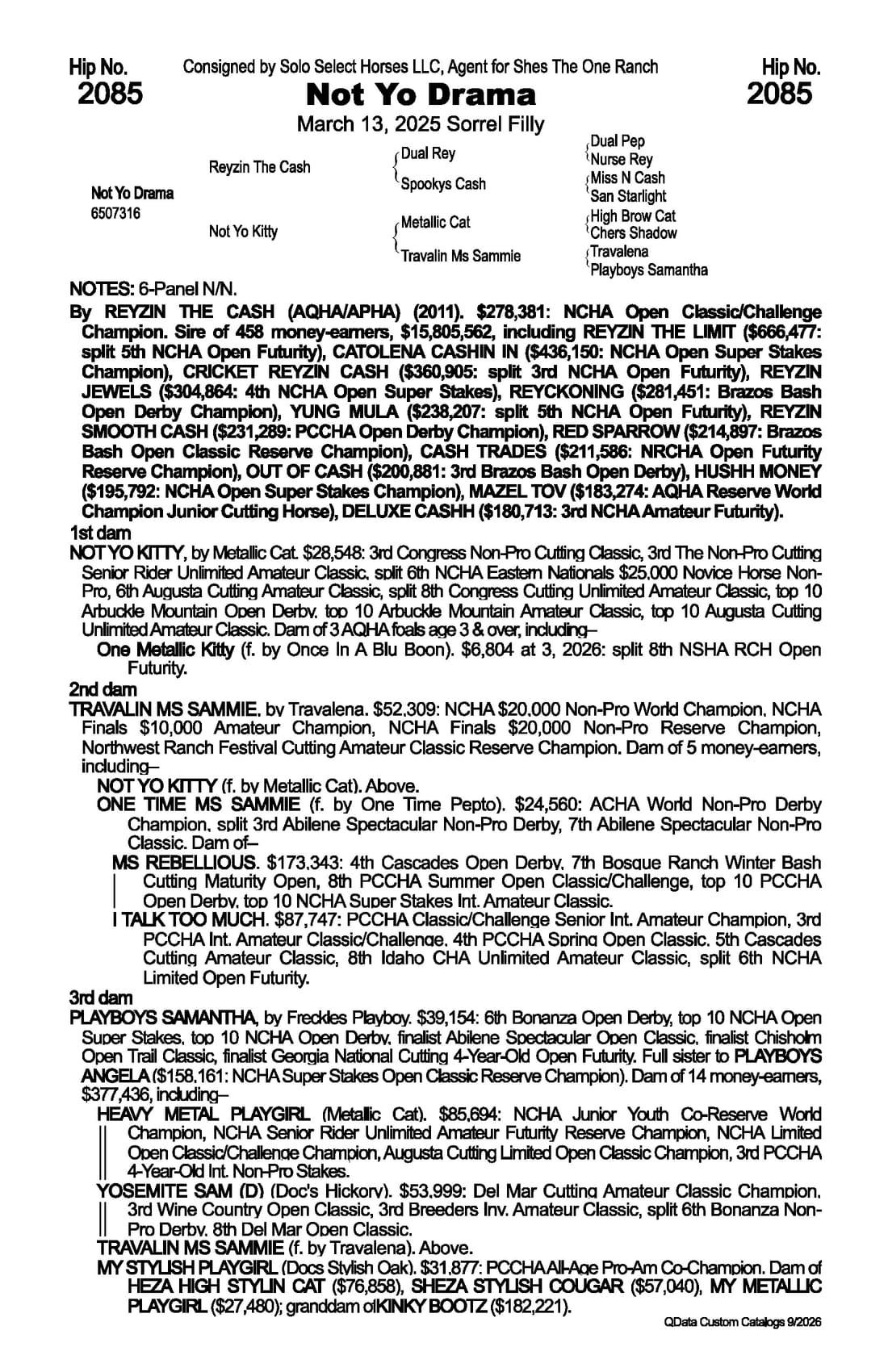 Not Yo Drama — 2026 NRCHA Snaffle Bit Futurity Sale catalog black type (stakes and pedigree record)
