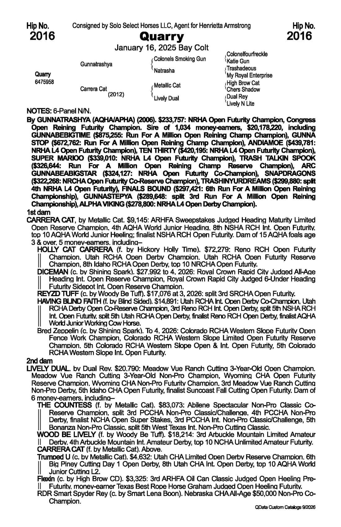 Quarry — 2026 NRCHA Snaffle Bit Futurity Sale catalog black type (stakes and pedigree record)