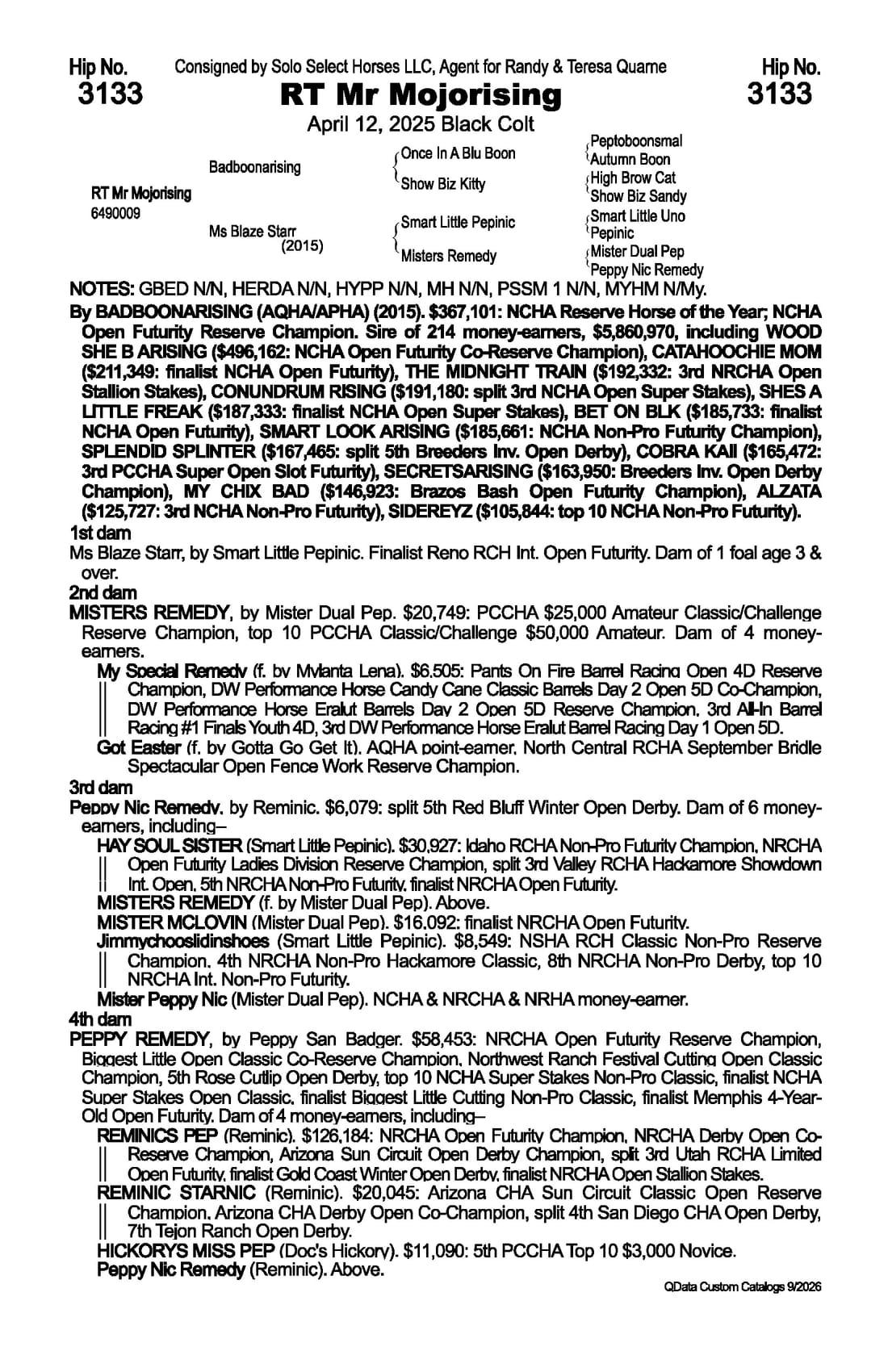 RT Mr Mojorising — 2026 NRCHA Snaffle Bit Futurity Sale catalog black type (stakes and pedigree record)