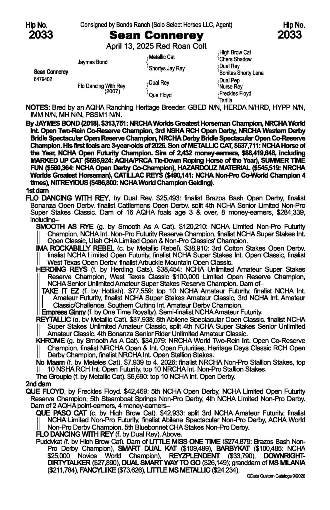 Sean Connerey — 2026 NRCHA Snaffle Bit Futurity Sale catalog black type (stakes and pedigree record)