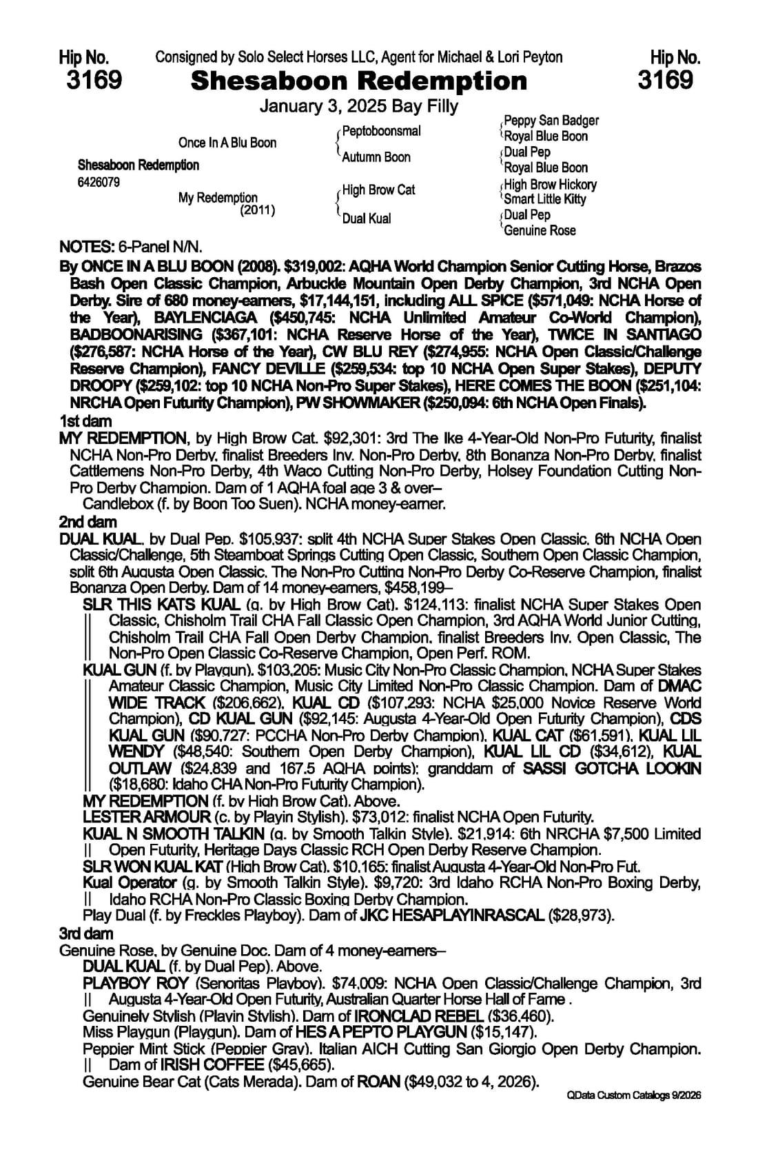 Shesaboon Redemption — 2026 NRCHA Snaffle Bit Futurity Sale catalog black type (stakes and pedigree record)