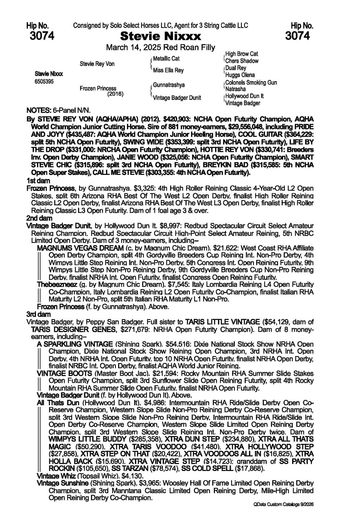 Stevie Nixxx — 2026 NRCHA Snaffle Bit Futurity Sale catalog black type (stakes and pedigree record)