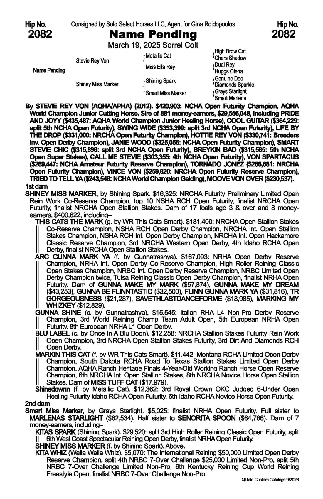 Name Pending — 2026 NRCHA Snaffle Bit Futurity Sale catalog black type (stakes and pedigree record)