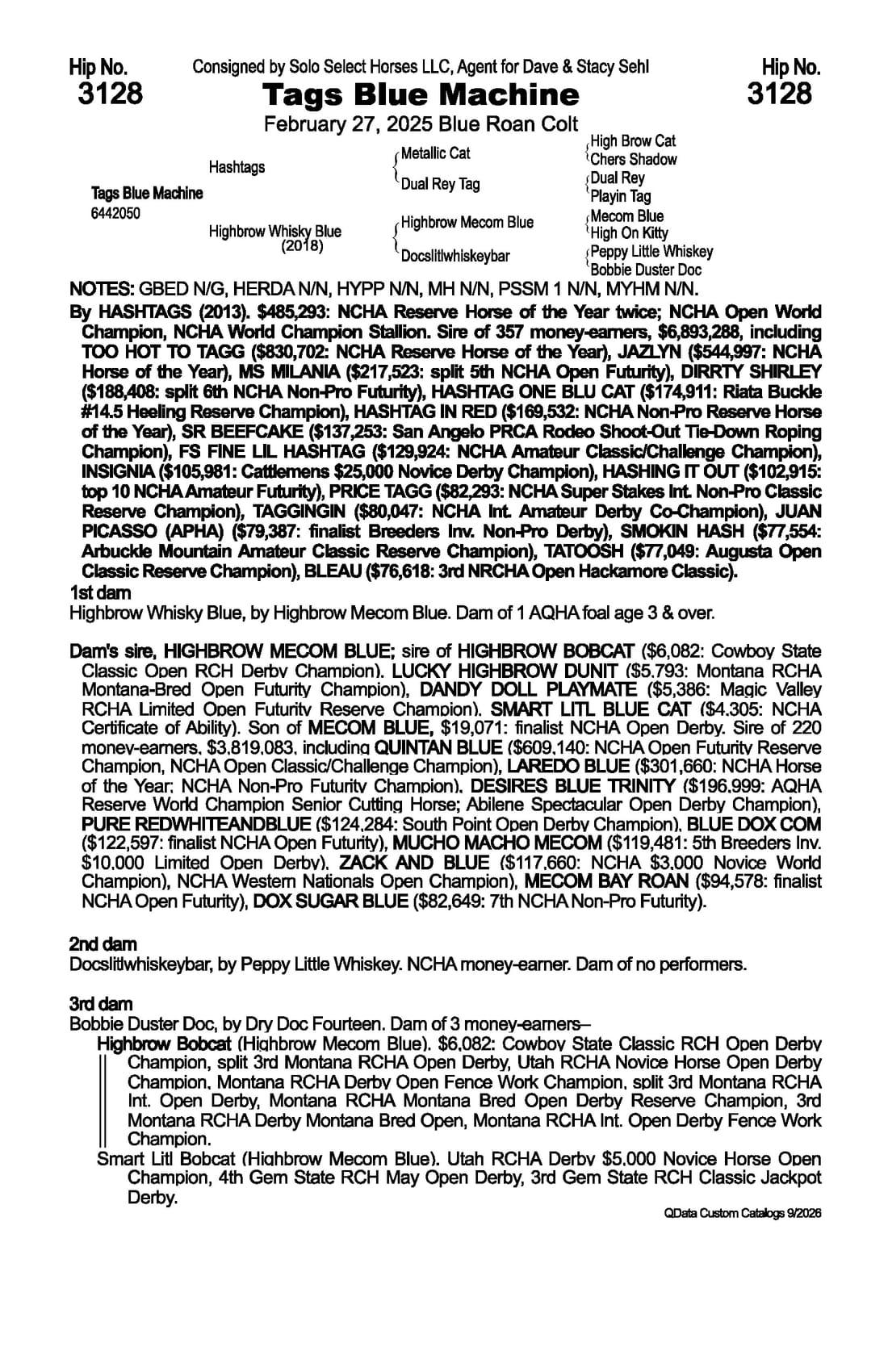 Tags Blue Machine — 2026 NRCHA Snaffle Bit Futurity Sale catalog black type (stakes and pedigree record)