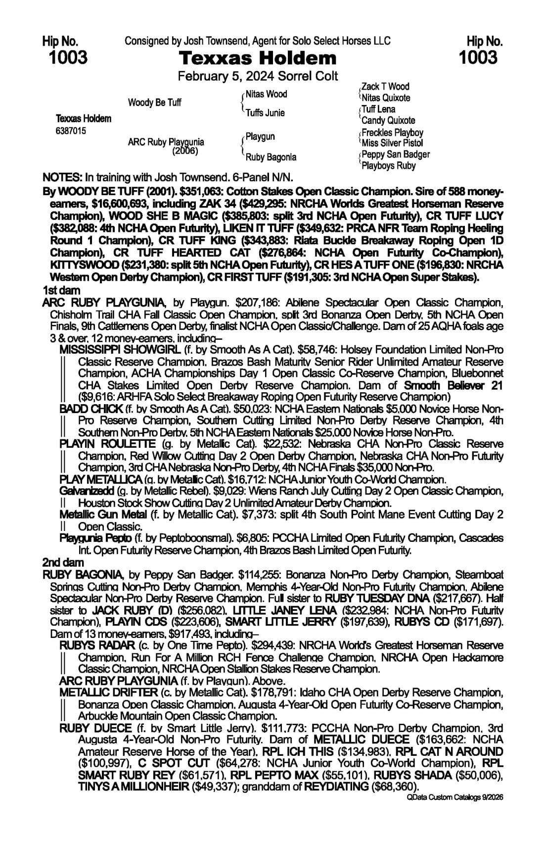 Texxas Holdem — 2026 NRCHA Snaffle Bit Futurity Sale catalog black type (stakes and pedigree record)