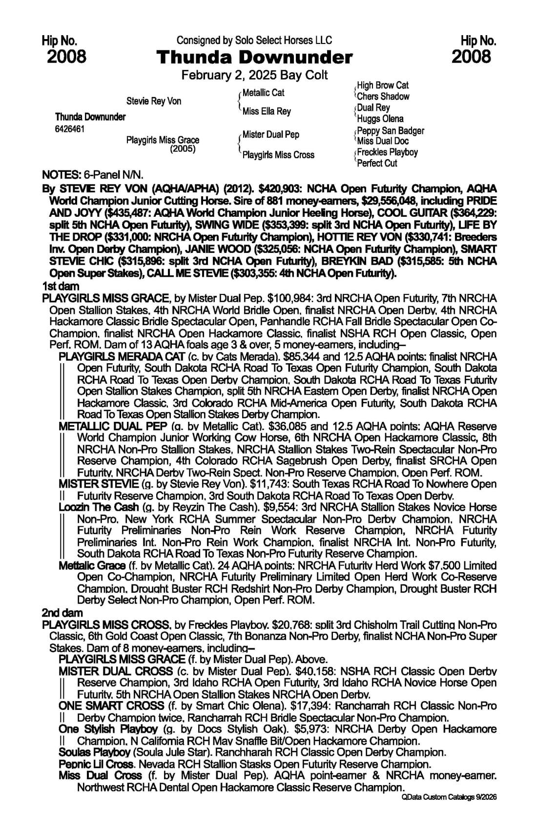 Thunda Downunder — 2026 NRCHA Snaffle Bit Futurity Sale catalog black type (stakes and pedigree record)