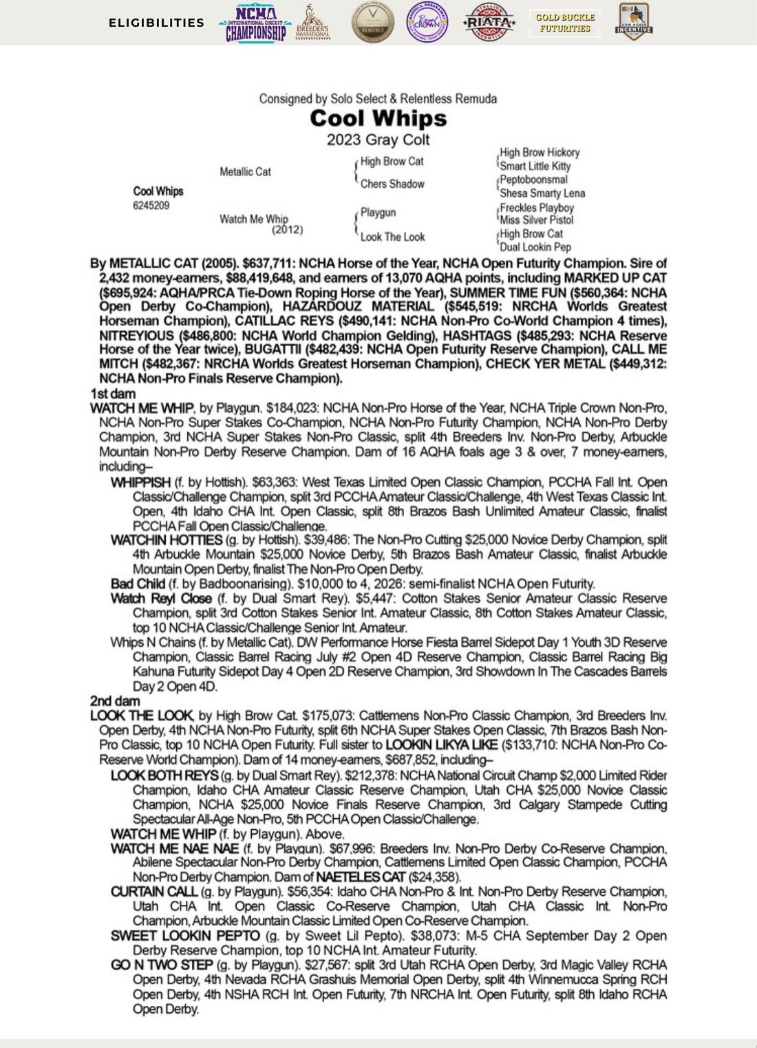 Cool Whips — 2026 Old West Rope Horse Sale catalog black type (stakes and pedigree record)