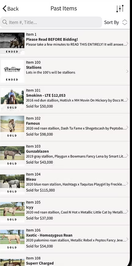 The Solo Select bidding app's past-items list with sold prices