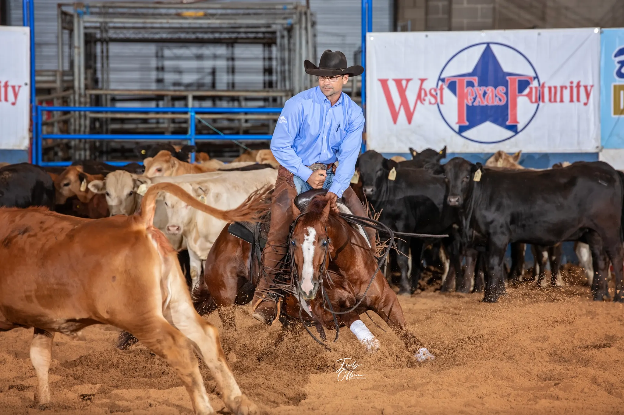 LBR Hangem, sorrel cutting stallion at Solo Select Horses — photo 4