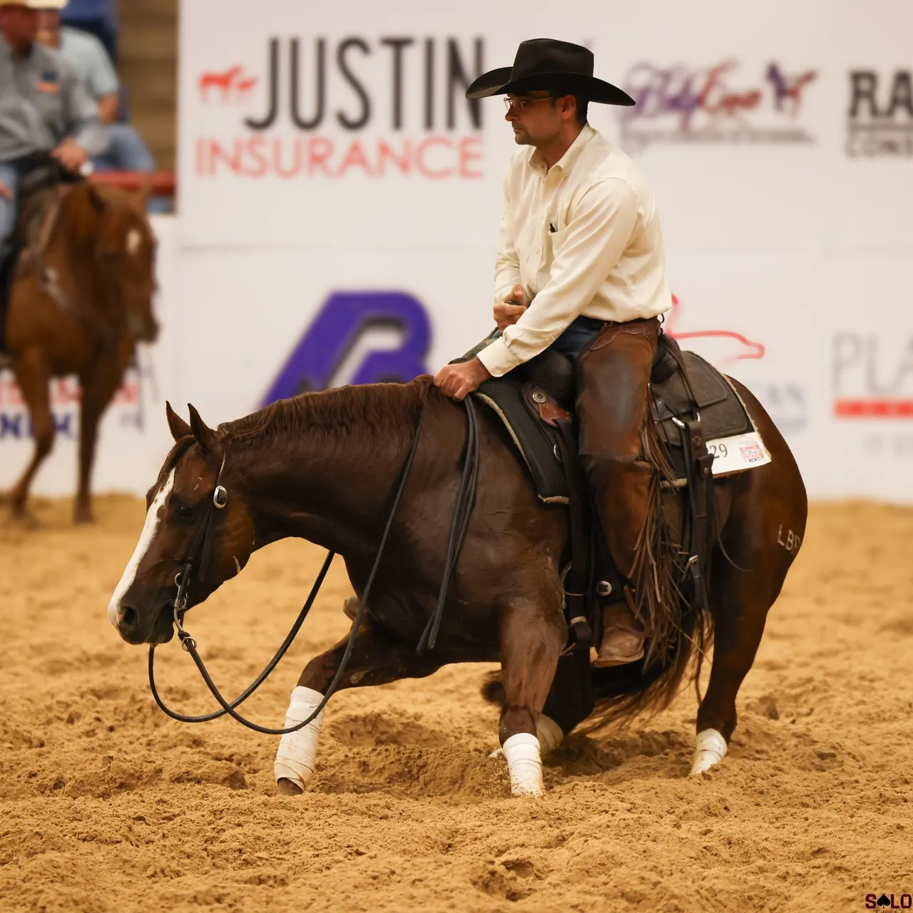 LBR Hangem, sorrel cutting stallion at Solo Select Horses — photo 3