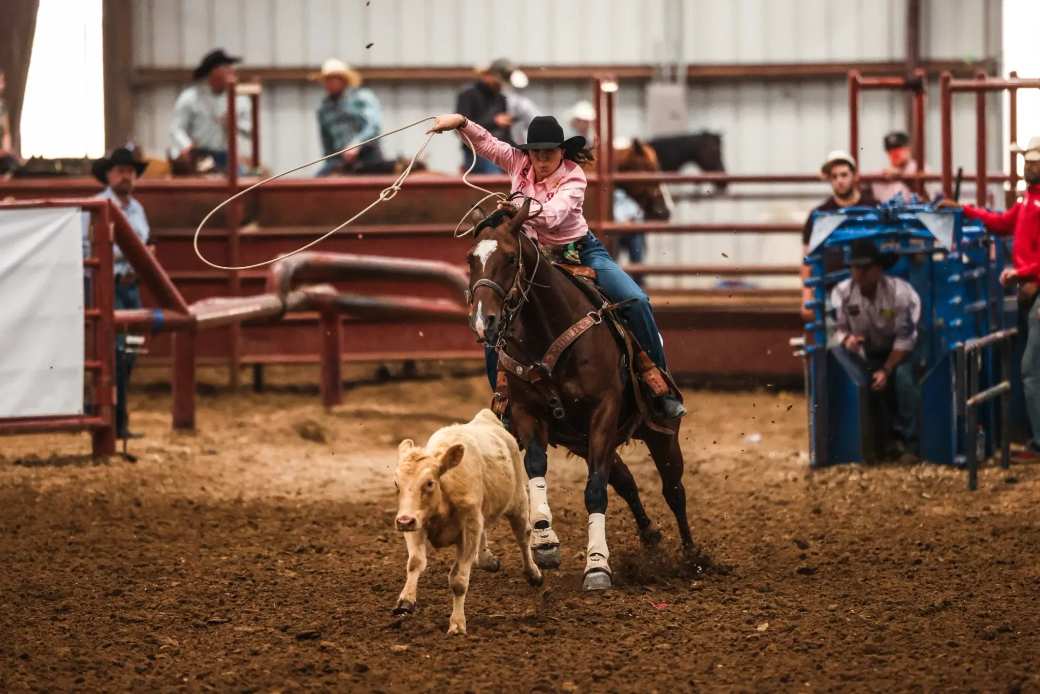 The 2026 Solo Select Rope Horse Futurity adds a minimum $560,000 for 4-year-olds Sept. 30–Oct. 1 at Circle T Arena in Hamilton, Texas.