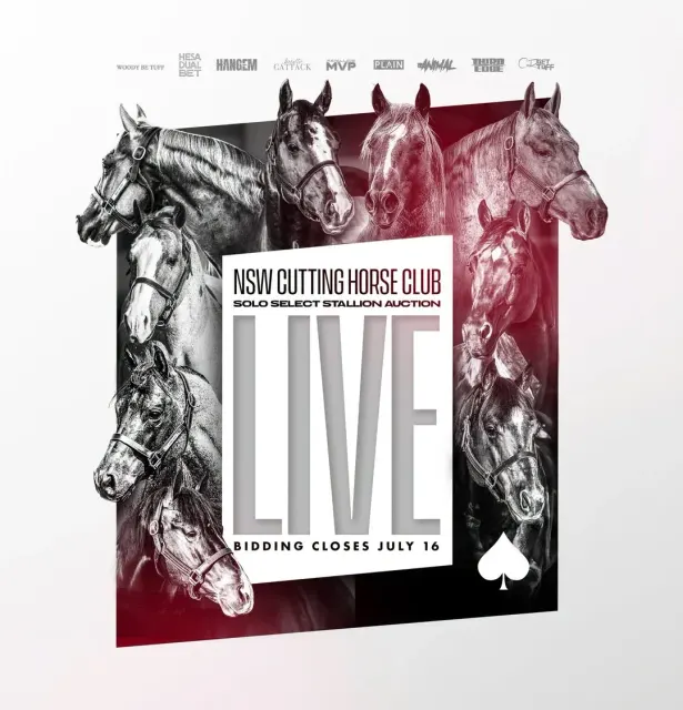 Innovative Sponsorship: The Stallion Service Auction