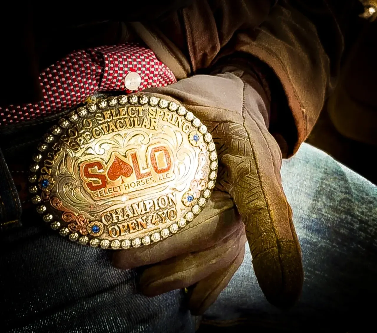 Solo Select is quickly becoming a familiar presence at Australia's major cutting events