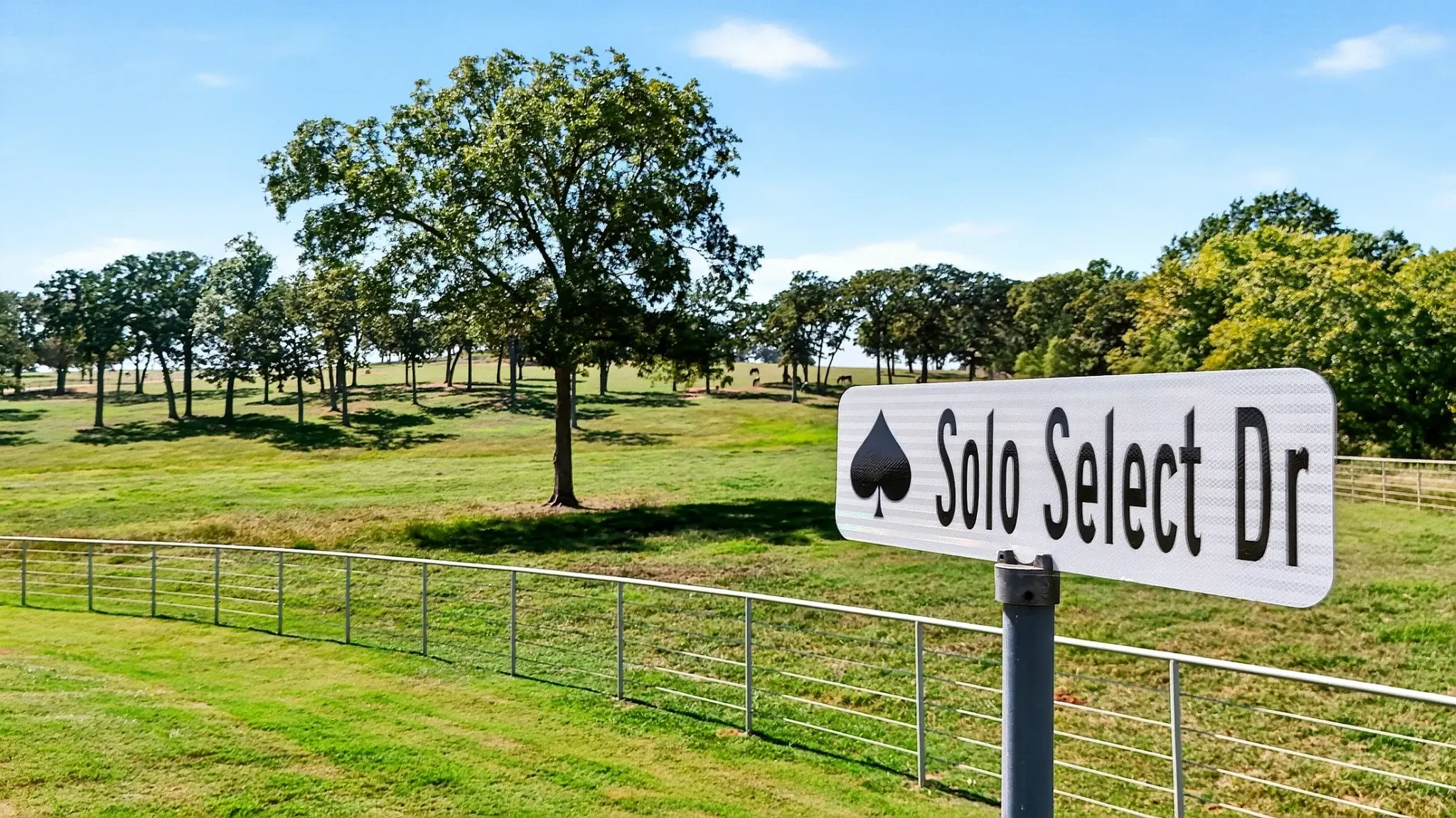 A white street sign with a black spade symbol reading "Solo Select Dr" stands beside a metal pipe fence overlooking a grassy pasture with scattered trees and grazing horses in the distance under a blue sky.