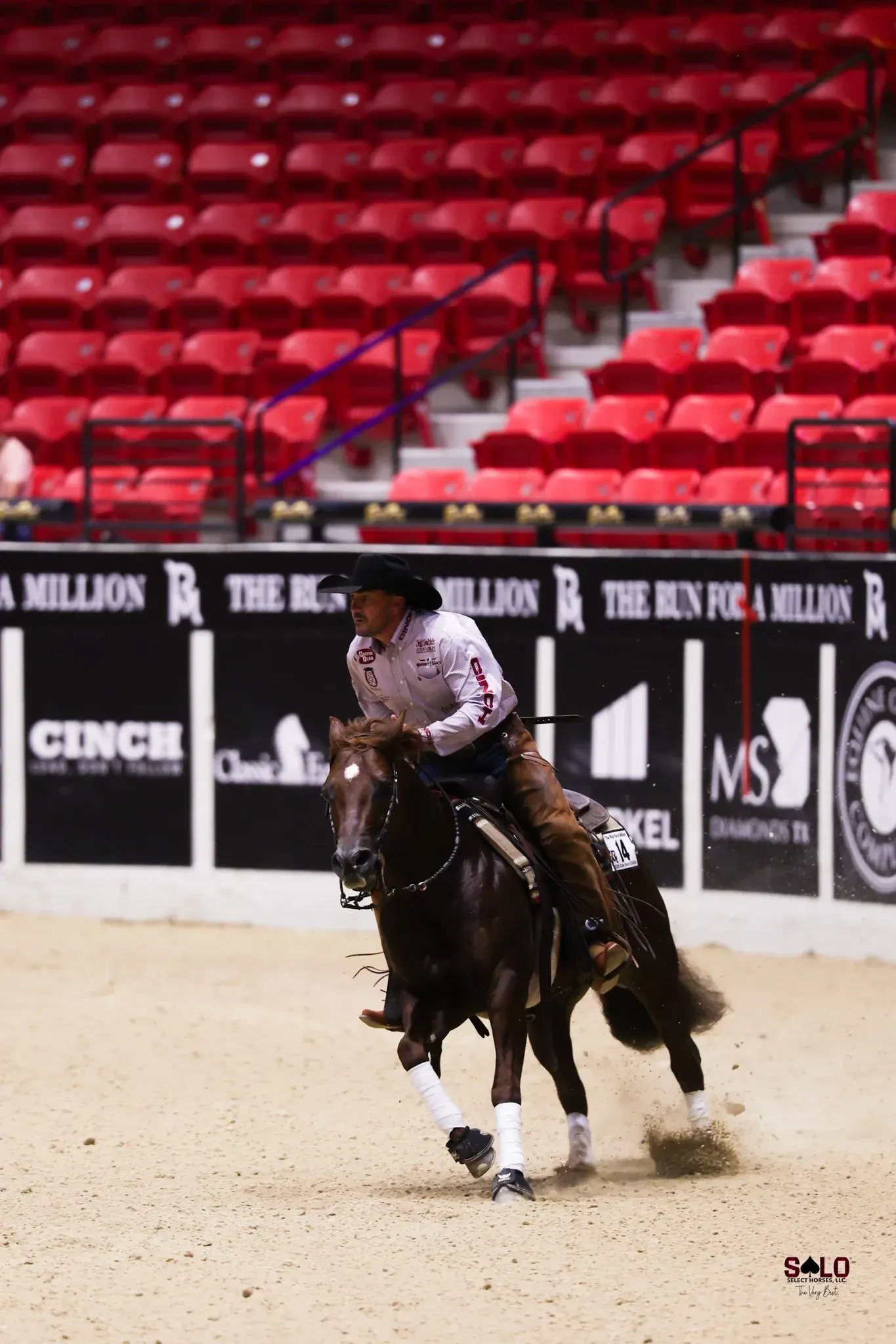 Snapdragons and Justin Wright in the rein work.