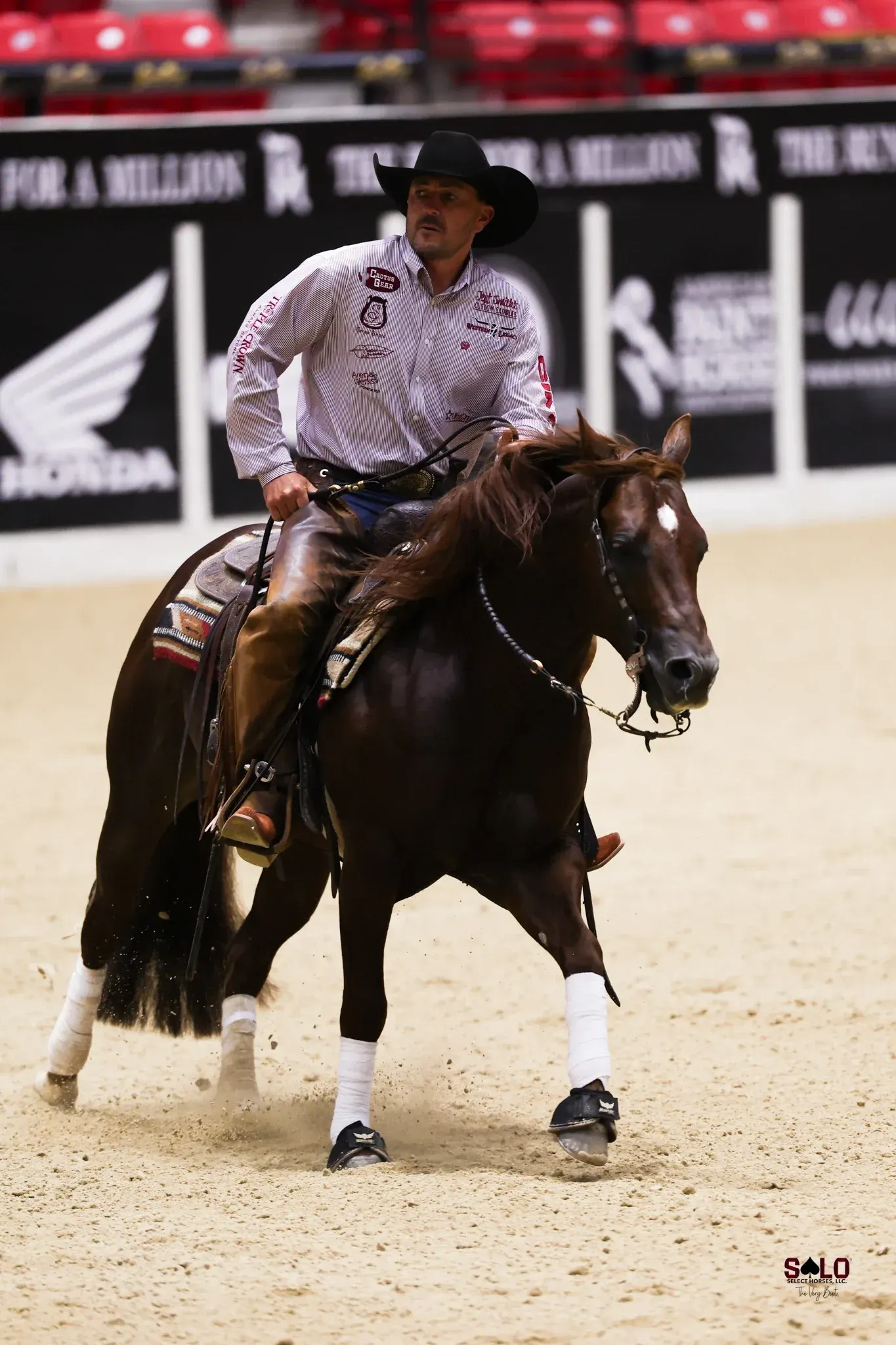 Snapdragons and Justin Wright in the rein work.