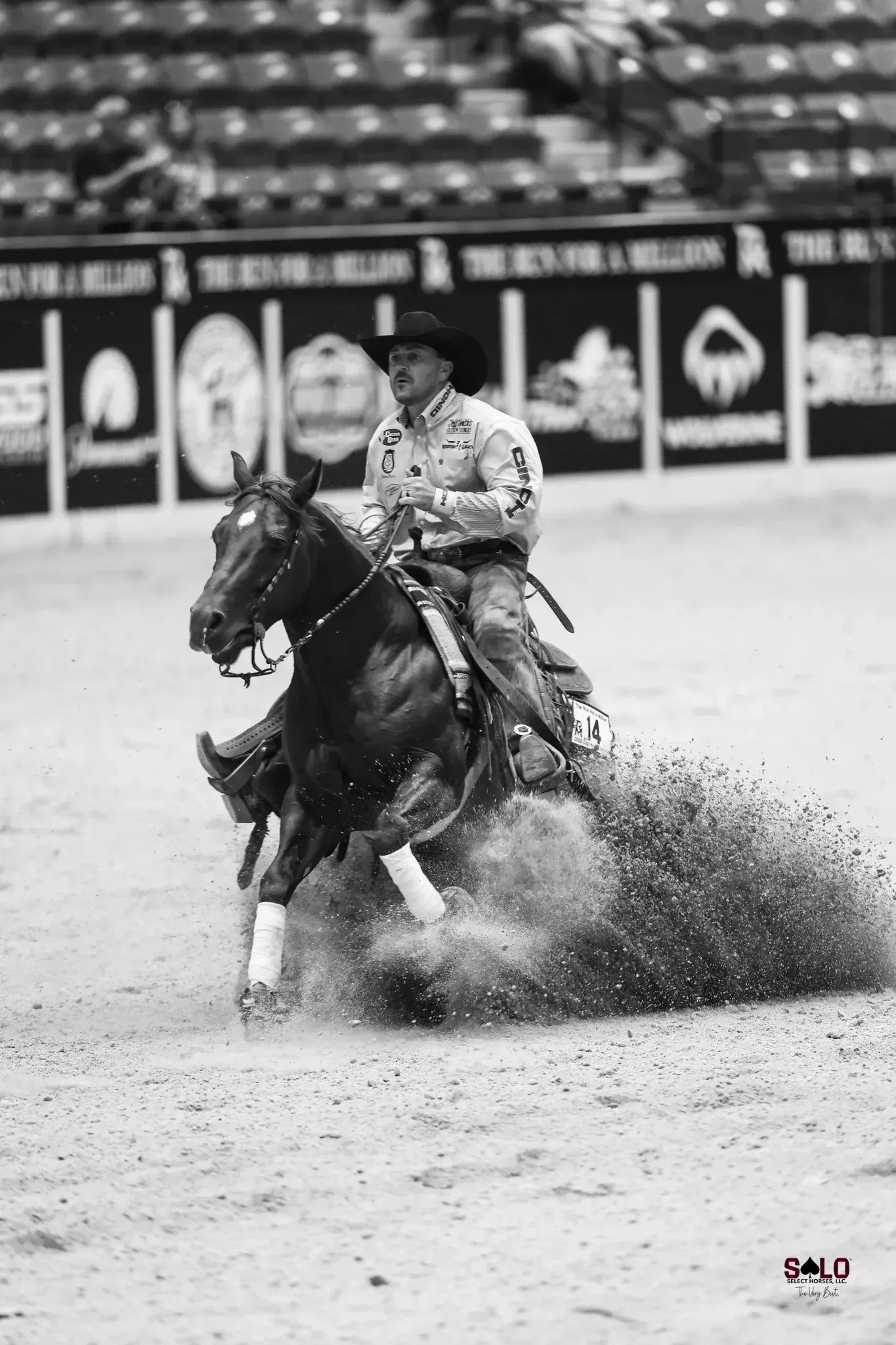 Snapdragons and Justin Wright in the rein work.