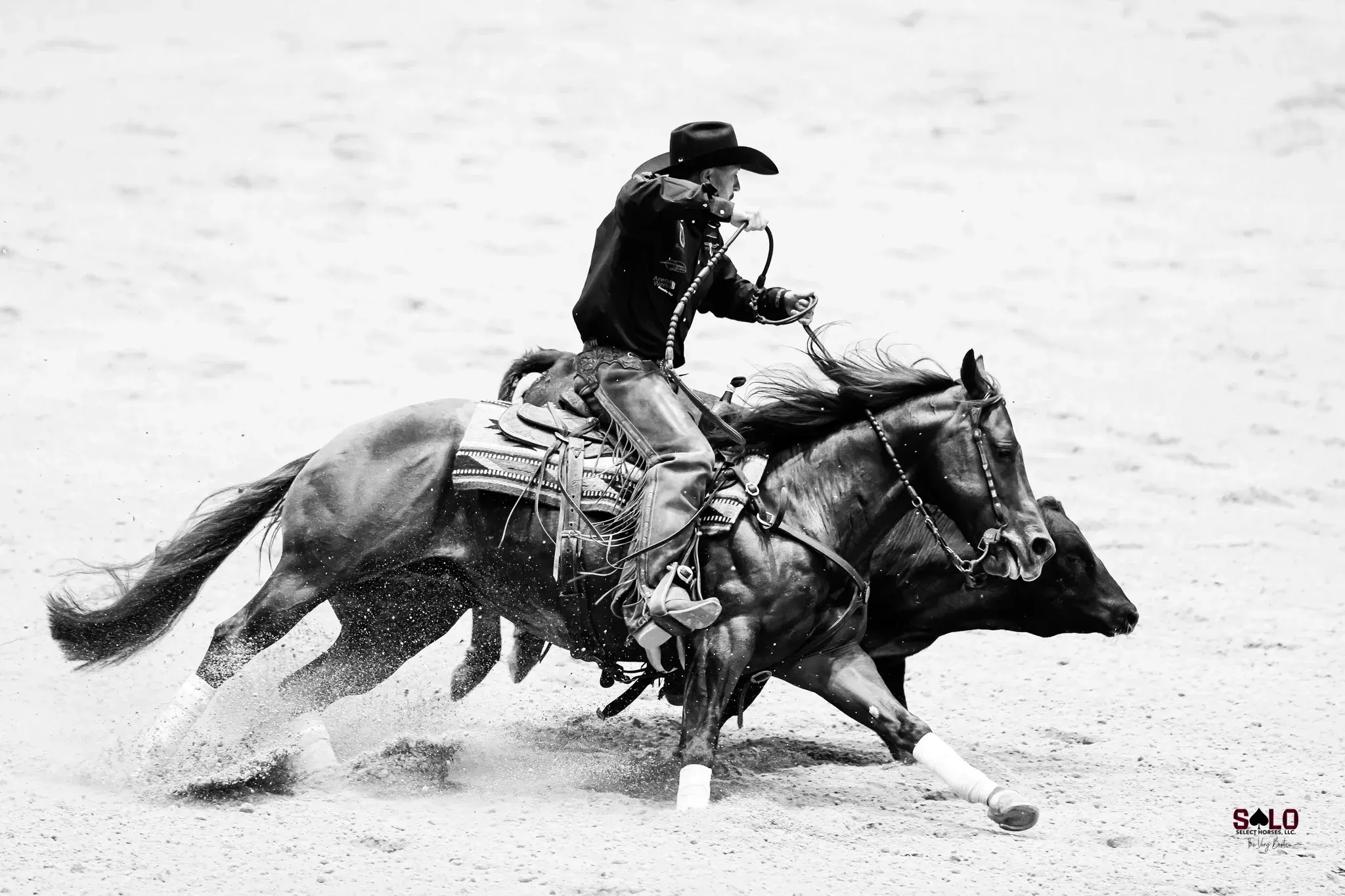 A rider in a dark shirt, cowboy hat, and chaps works a dark horse with front-leg wraps in a hard turn against a cow in a dirt arena, shown in black and white.