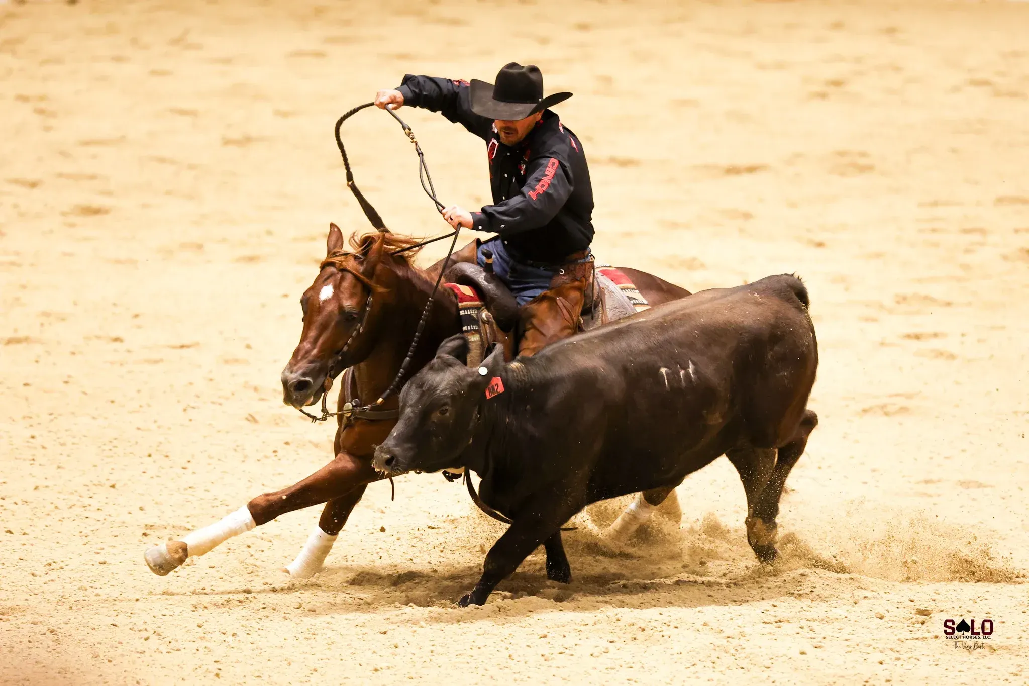 A rider in a black hat and dark shirt on a chestnut horse with white leg wraps works a black cow in a sandy indoor arena, with dust kicked up around them.