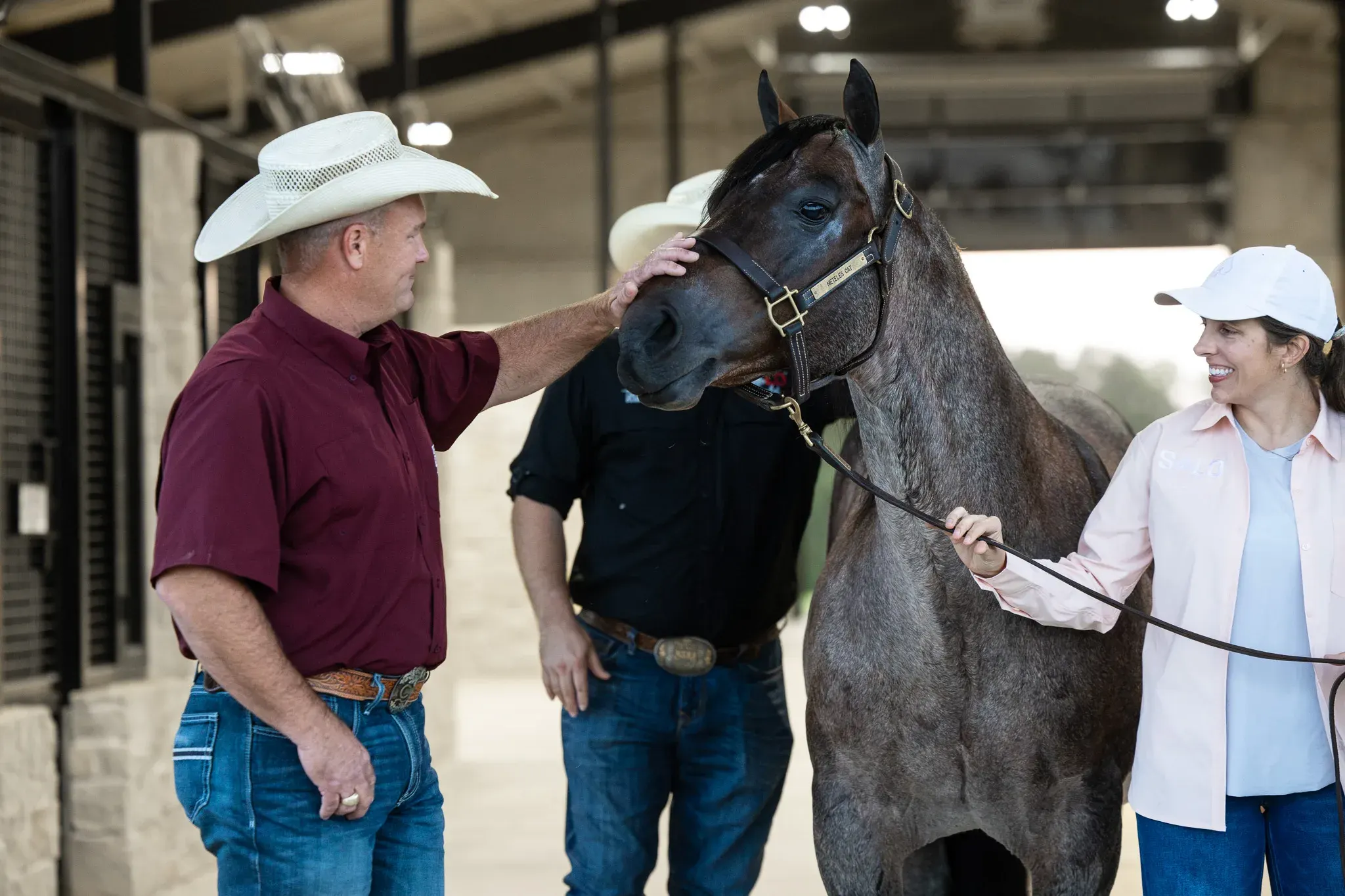 A blue roan horse in a leather halter stands in a covered barn aisle while a man in a white cowboy hat and maroon shirt touches its face, a second man stands behind, and a woman in a white cap holds the lead rope.