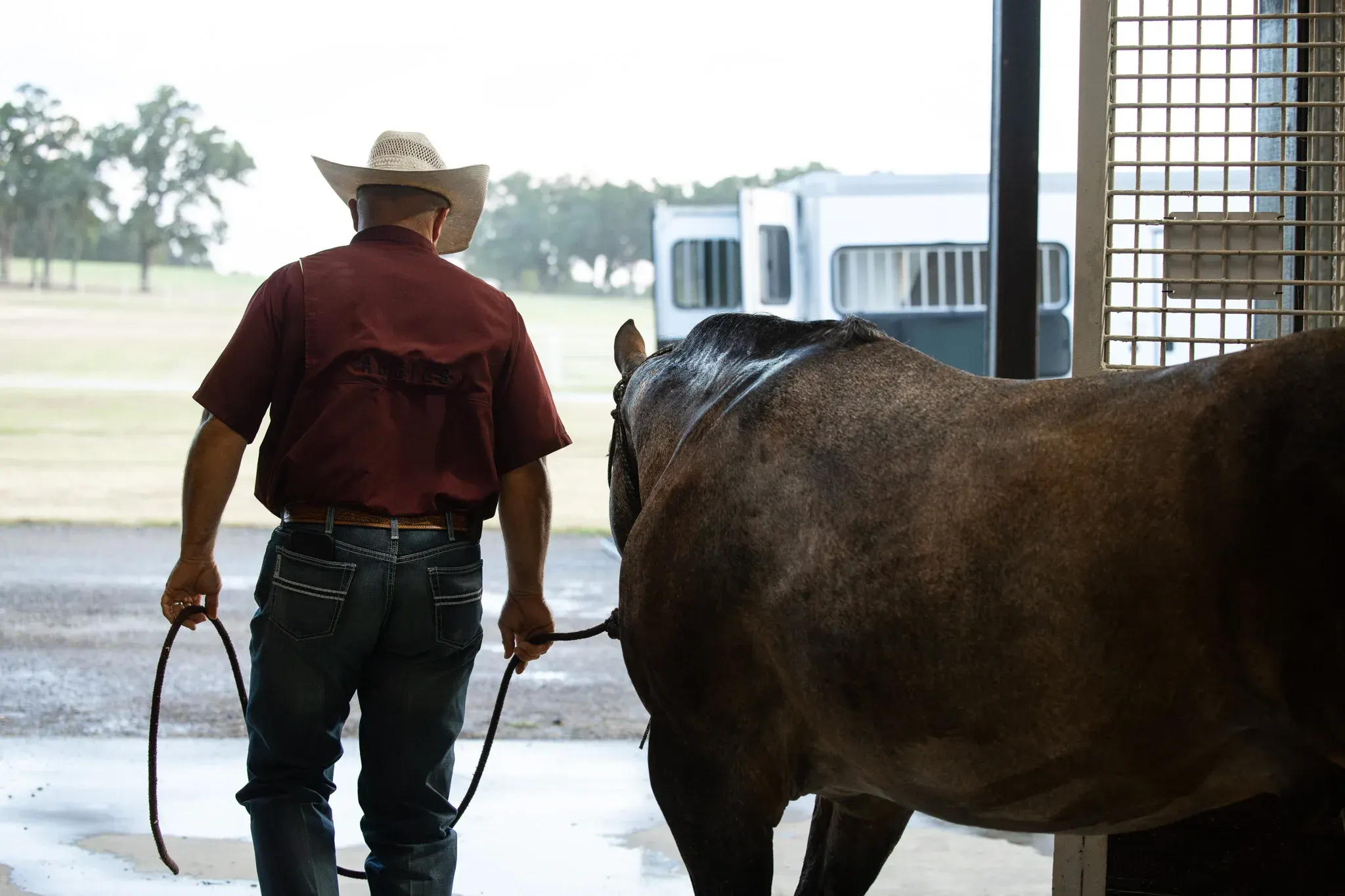 A man in a straw cowboy hat, maroon shirt and jeans stands with his back to the camera holding a lead rope attached to a wet dark bay horse near a barn opening, with a horse trailer and grassy field visible outside.