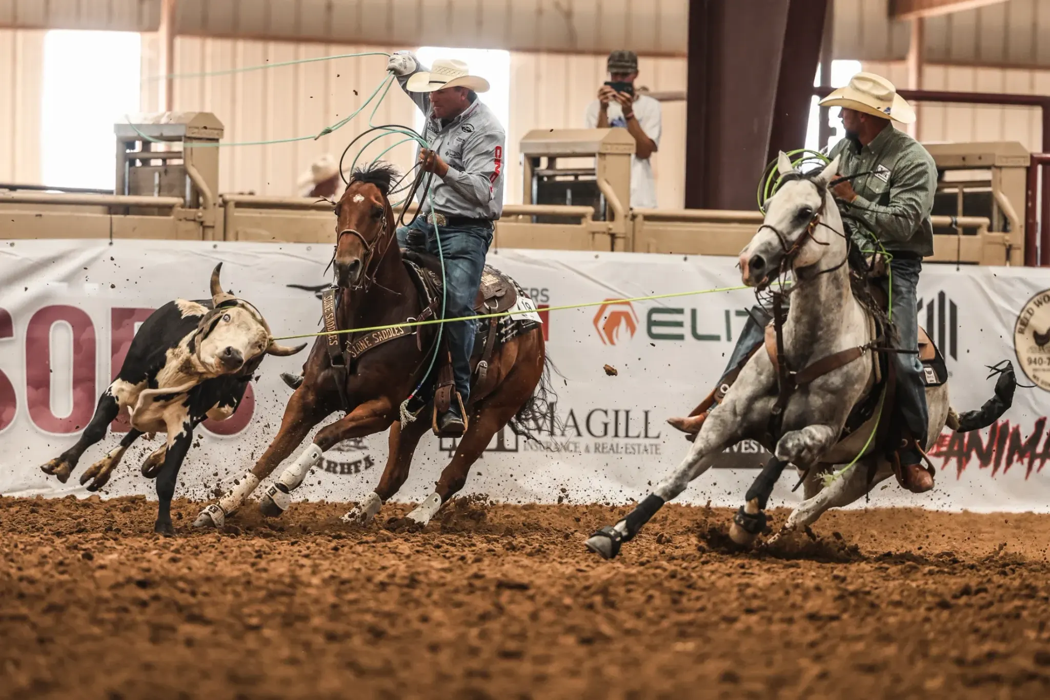 Two cowboys on a bay horse and a gray horse chase a black-and-white steer across a dirt arena during a team roping run, with one roper swinging a loop overhead and a spectator filming in the background.