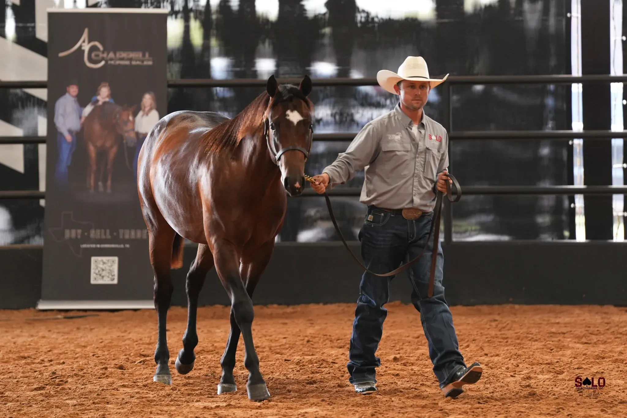 A man in a white cowboy hat, gray shirt, and jeans leads a bay horse with a small white star by a halter across the dirt of an indoor arena, with a vertical banner in the background.