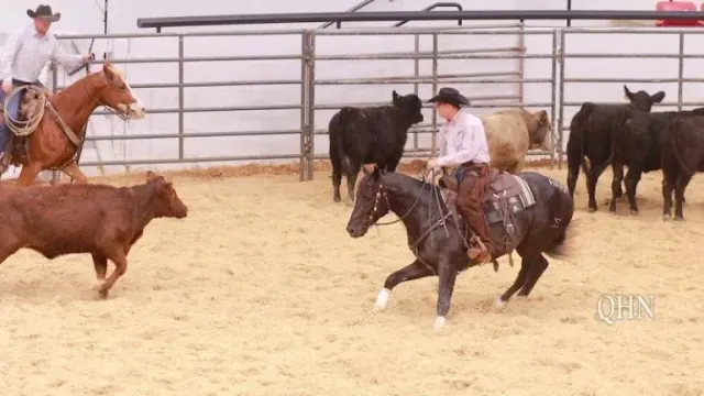 Zak 34 and Boyd Rice at the NCHA Western Bloodstock Sale