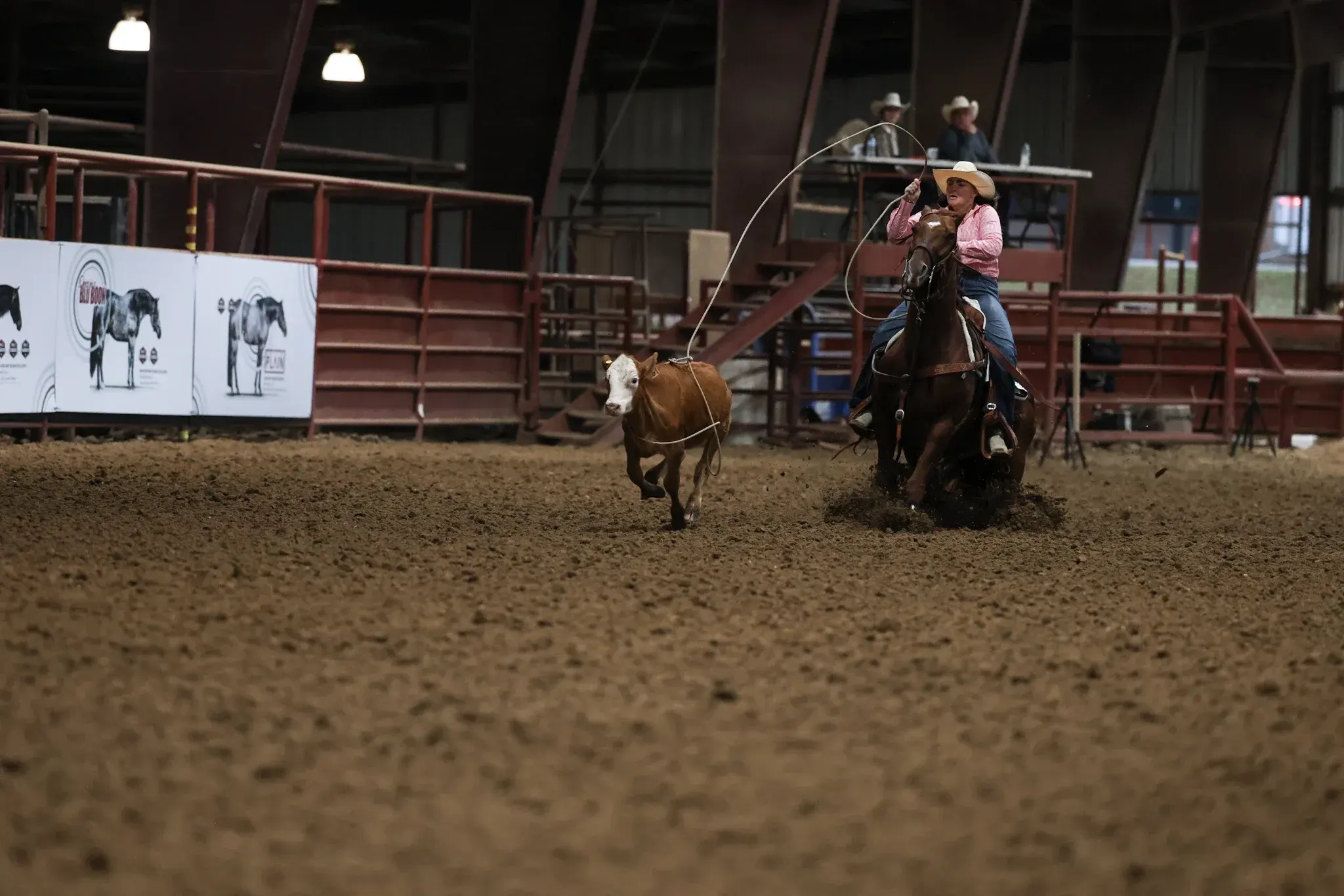 A rider in a pink shirt and light cowboy hat swings a rope on a chestnut horse while chasing a brown-and-white calf across the dirt of an indoor arena, with two people seated at a judges' table in the background.