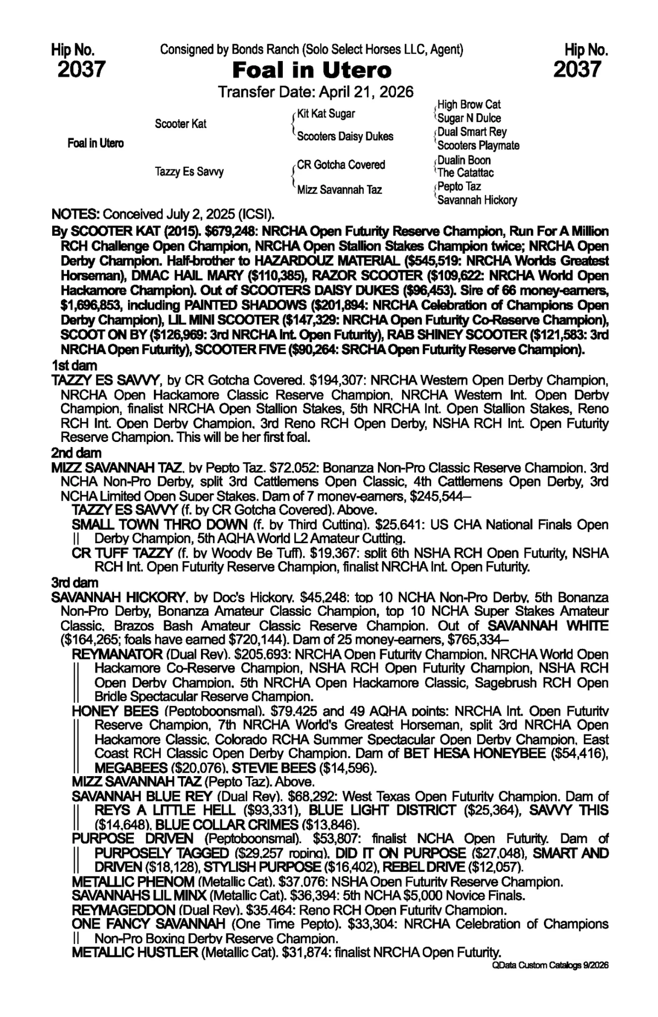 Sale catalog page for Hip No. 2037, a foal in utero by Scooter Kat out of Tazzy Es Savvy